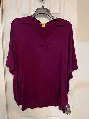 Catherine Malandrino Plum V-Neck Dolman 94% silk Sleeve Blouse